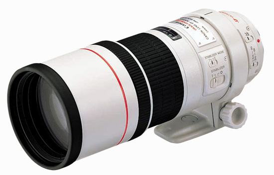 Canon EF 300mm f/4 L IS USM 