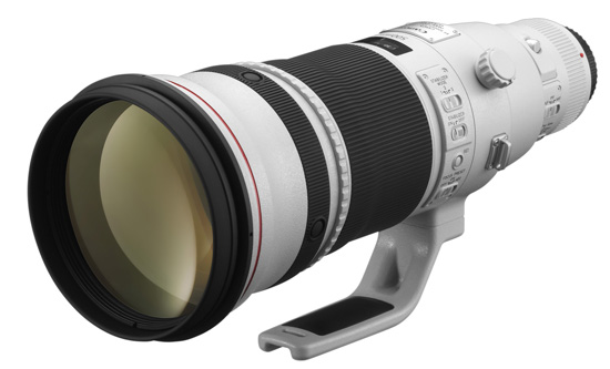 Canon EF 500mm f/4 L IS II USM